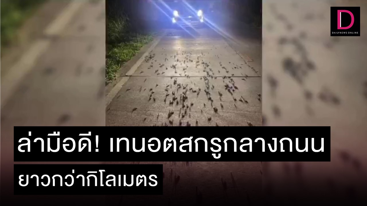 ล่ามือดี! เทนอตสกรูกลางถนนยาวกว่ากิโลเมตร | ชนคลิปข่าว 24/11/64 เดลินิวส์