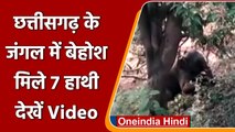 Chhattisgarh: जंगल में सात Elephant मिले बेहोश, तीन की हालत गंभीर | #Shorts | वनइंडिया हिंदी