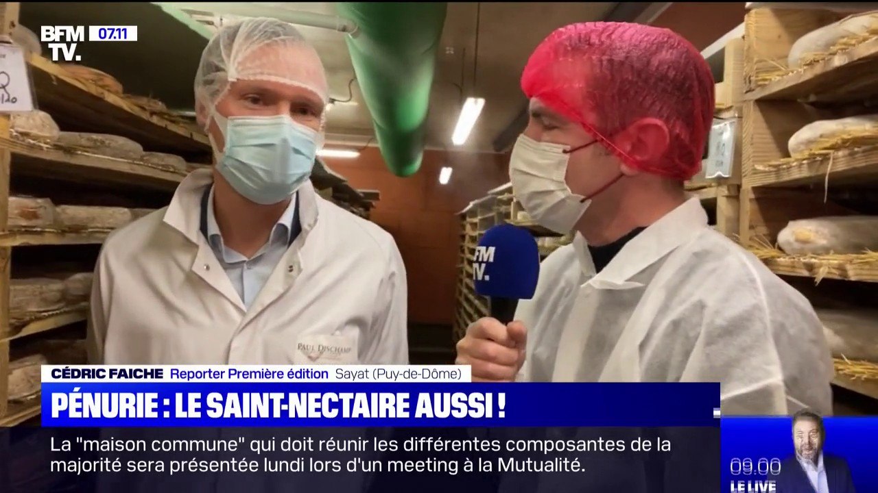 À cause de la mauvaise météo de cet été, le Saint-Nectaire voit sa production chuter