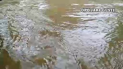 TERAPI KEJIWAAN DENGAN SUARA AIR MENGALIR DAN PEMANDANGAN ALAM
