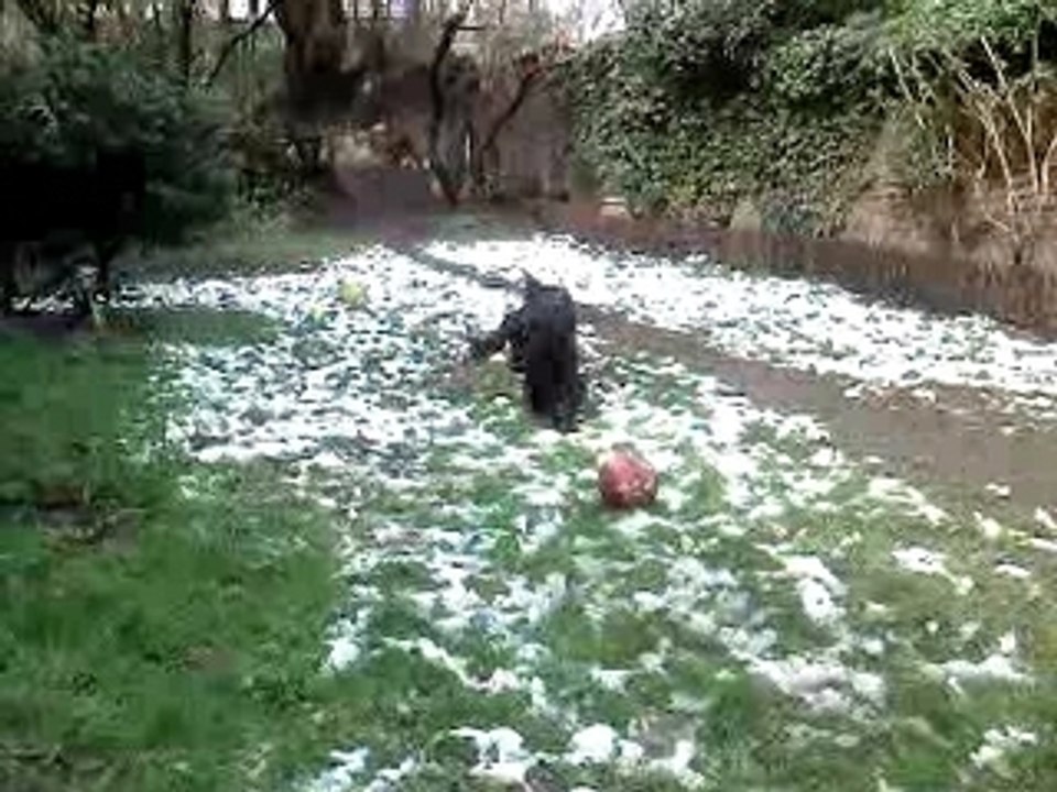 Neige 2