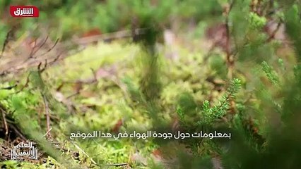 ...مستنقع بالقرب من أول في بورغ . أحد خبراء...