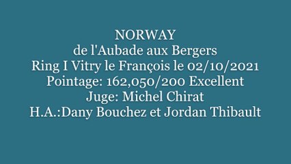 RING : Norway de l'Aubade aux Bergers   concoursde Vitry-le-François le 2 octobre 2021en échelon 1