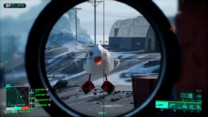 Extremly REALISTIC Bird ATTACK