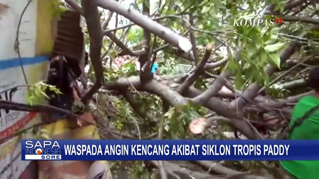 BMKG Sebut Angin Kencang di Wilayah Jabodetabek Terjadi Akibat Siklon Tropis Paddy