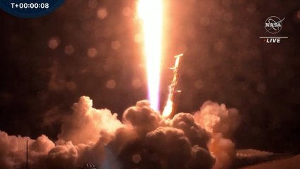 Download Video: La NASA lanza DART, una misión 