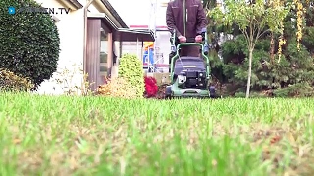 Hölker Hausservice e.K. in Karlsruhe – Ihr Profi für Gebäudereinigung & Gartenpflege