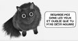 Dans des BD pleines d'humour, cet illustrateur imagine les pensées des chats