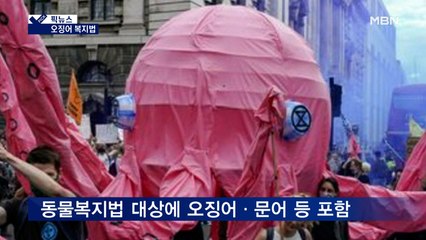 [픽뉴스] 판매자는 총살 / 오징어 복지법 / '사랑꾼' 남편 / 미국도 놀란 '헤어롤' / BTS가 왜 거기서 나와?