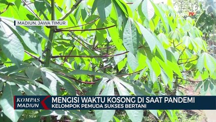 Mengisi Waktu Kosong Di Saat Pandemi, Kelompok Pemuda Sukses Bertani