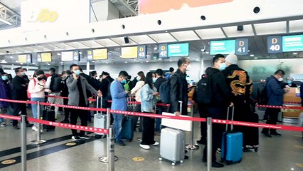 When and What Should You Eat Before Flying?