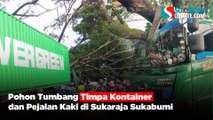 Pohon Tumbang Timpa Kontainer dan Pejalan Kaki di Sukaraja Sukabumi