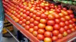 Tomato being sold at Rs 100 per/kg as expensive as petrol