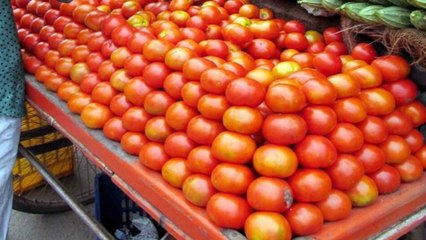 Tomato being sold at Rs 100 per/kg as expensive as petrol
