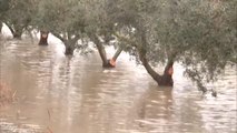 La Dana provoca inundaciones en Cataluña