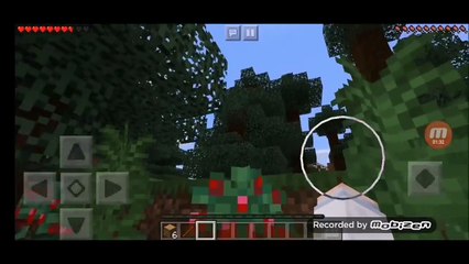 Minecraft, saison 1. Épisode 1, Le commencement