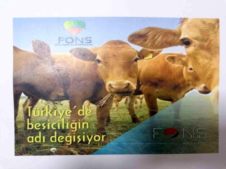 Saadet zinciri operasyonunda flaş gelişme: 'Yeni Çiftlik Bank' olacaklardı