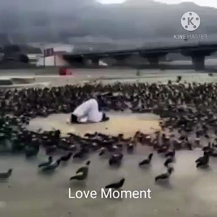 Very nice moment man.