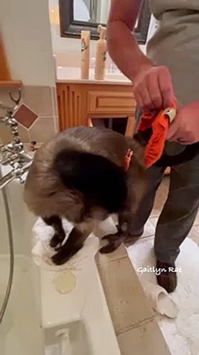Bath time!
