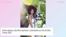 Miss France 2022 : Les Miss régionales punies et recadrées à la Réunion, Sylvie Tellier s'explique