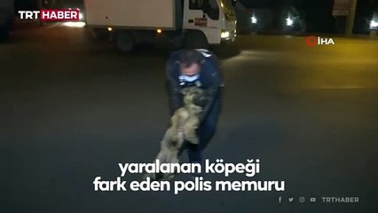 Yaralı köpeği polis ekipleri kurtardı