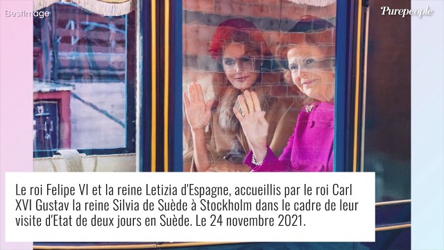 Letizia d'Espagne : Coup de froid en Suède... malgré un look hivernal impeccable !