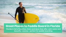 Great Places to Paddle Board in Florida