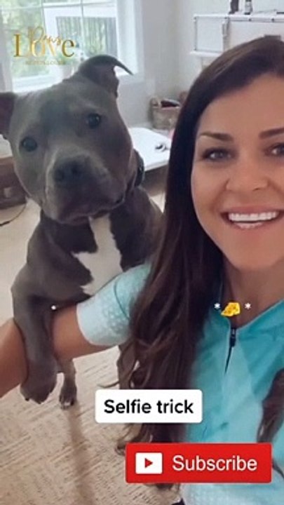 Can Your Dog do this