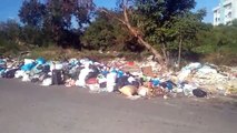 A pesar de nuevos camiones, basura arropa a SDE