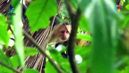 Buena Vida - ¿Es ilegal trabajar después de pensionarse?