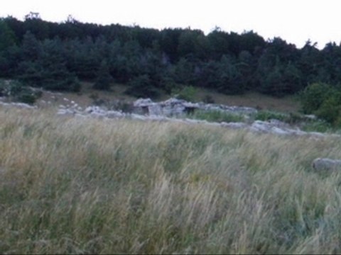 Alpes montagne région PACA transhumance berger