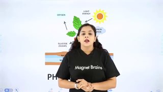 Photosynthesis Life Process  Class 10 Biology  ||  C6P3