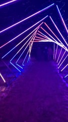 We Checked Out Calgary Zoo's ZOOLIGHTS & It Was A Festive Holiday Delight