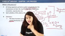 What is Life Process Class 10 Science || Biology Chapter 6 Class 10 Science  || C6P1