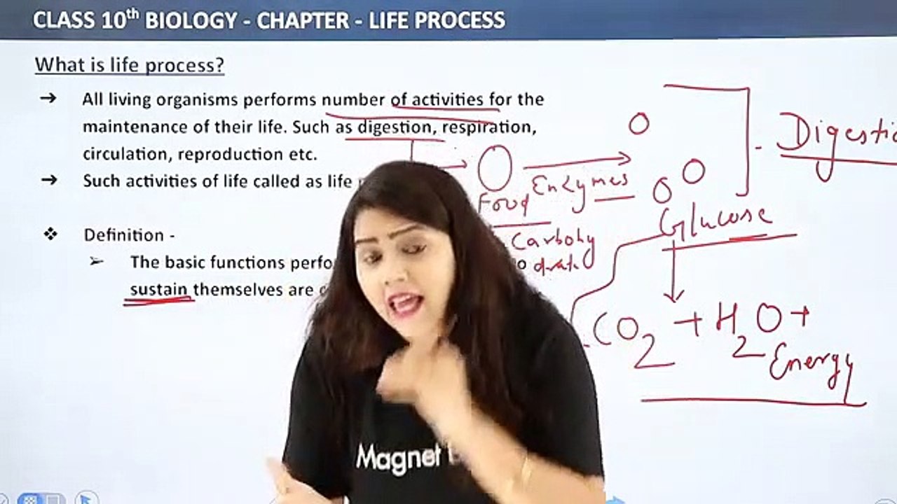 What is Life Process Class 10 Science || Biology Chapter 6 Class 10 Science  || C6P1