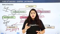 Modes of Nutrition  Life Process || Class 10 Science Biology Chapter 6 Class 10 Biology ||  C6P2