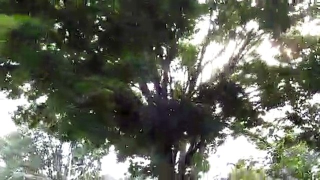 Walking my way back to Mineola Station from Roosevelt Field Mall on Old Country Road