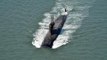 Submarine INS Vela to get included in Indian Navy today