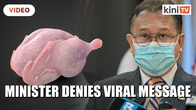 Minister denies asking Malaysians to eat duck due to chicken price increase