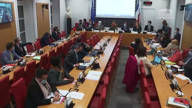 Commission des lois : Projet de loi relatif à la différenciation, la décentralisation, la déconcentration et portant diverses mesures de simplification de l’action publique locale (suite) - Mercredi 24 novembre 2021