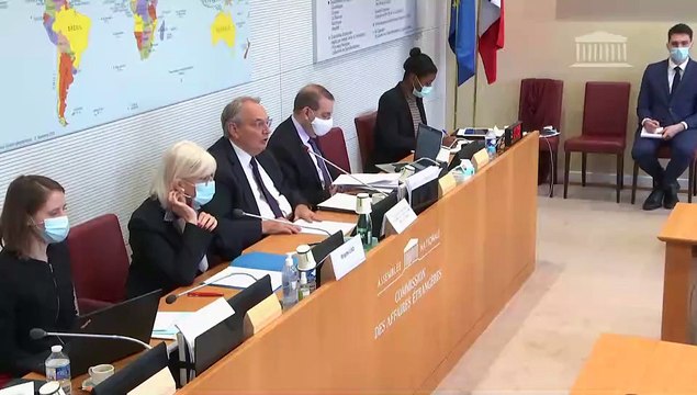 Commission des affaires étrangères : Projet de loi autorisant la ratification de l’accord modifiant le traité instituant le Mécanisme européen de stabilité - Mercredi 24 novembre 2021