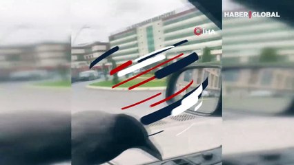 Sultangazi'deki araba meraklısı karga kamerada