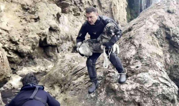 Son dakika haberi... Falezlerde mahsur kalan köpek deniz polisinin 'film gibi' operasyonuyla kurtarıldı