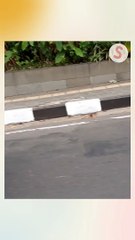 Keliling Bandung dengan Motor Pak Grab Bike