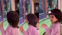 BB15 Contestant Jay Bhanushali की Daughter Tara का सबसे Emotional VIDEO VIRAL | Boldsky
