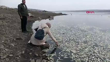 Korkutan görüntü! İnceleme başlatıldı