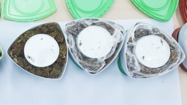 헤어크림 통에 대마초 ...마약 밀반입 이집트 불법체류자 구속 / YTN