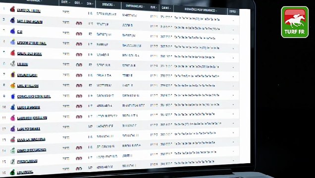 Minute Quinté TURF FR : PRIX DE SILLE LE GUILLAUME - Jeudi 25 novembre 2021 - Paris Vincennes PMU #260657