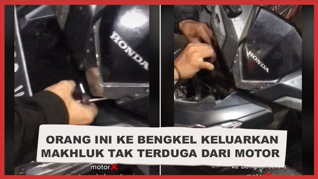 Bukan Mau Servis, Orang Ini ke Bengkel Keluarkan Makhluk Tak Terduga Sembunyi di Motor