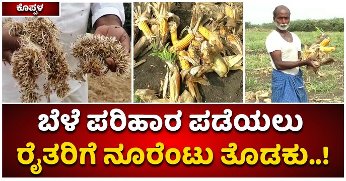 ಕೊಪ್ಪಳ-ಬೆಳೆ ಪರಿಹಾರ ಪಡೆಯಲು ರೈತರಿಗೆ ನೂರೆಂಟು ತೊಡಕು..!